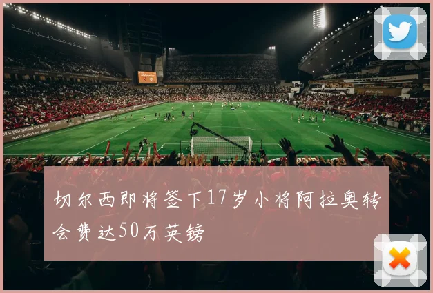 切尔西即将签下17岁小将阿拉奥转会费达50万英镑