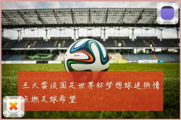 王大雷谈国足世界杯梦想球迷热情点燃足球希望